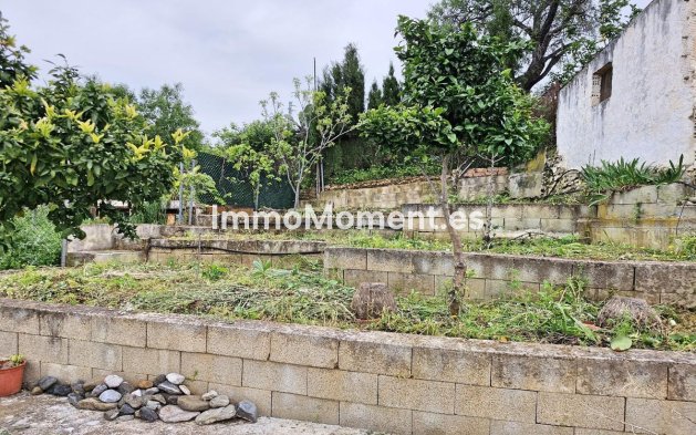 Revente - Maison mitoyenne - Intérieur                       - Guaro