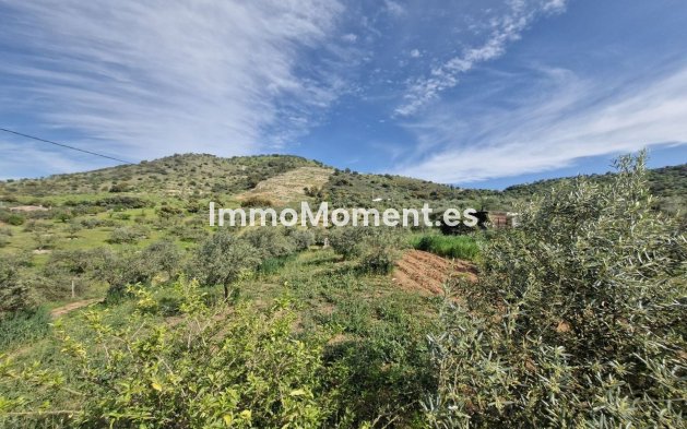 Reventa - Casa de campo - Interior  - Coín