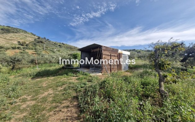 Reventa - Casa de campo - Interior  - Coín