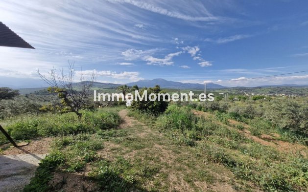 Reventa - Casa de campo - Interior  - Coín
