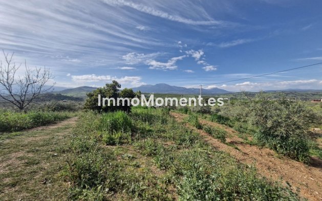 Reventa - Casa de campo - Interior  - Coín