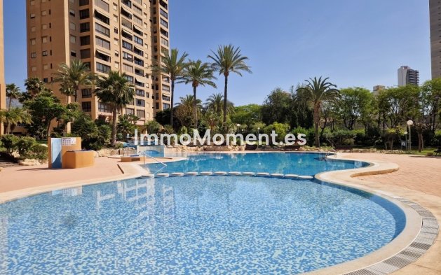 Wiederverkauf - Wohnung - Benidorm - Benidorm Centro