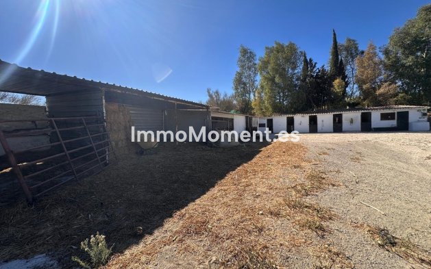 Revente - Maison de campagne - Intérieur                       - Cártama Centro