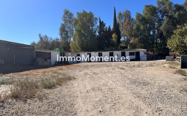 Revente - Maison de campagne - Intérieur                       - Cártama Centro