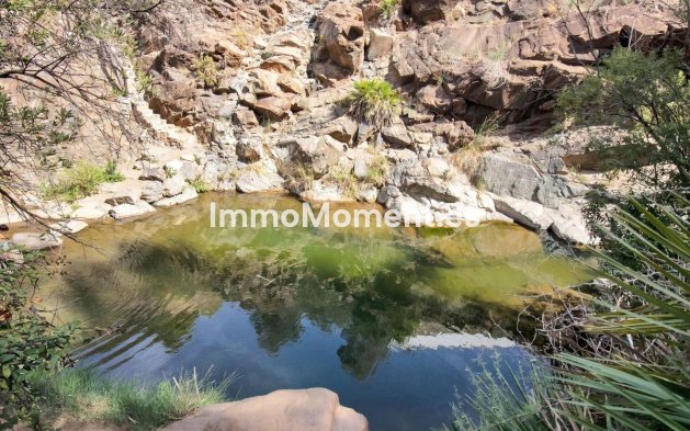 Revente - Maison de campagne - Intérieur                       - Ojén