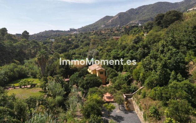 Revente - Maison de campagne - Intérieur                       - Ojén