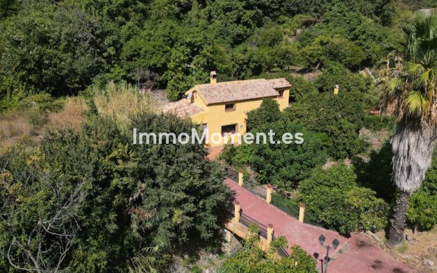 Revente - Maison de campagne - Intérieur                       - Ojén