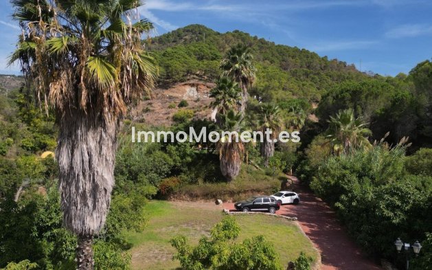 Revente - Maison de campagne - Intérieur                       - Ojén