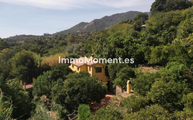 Revente - Maison de campagne - Intérieur                       - Ojén