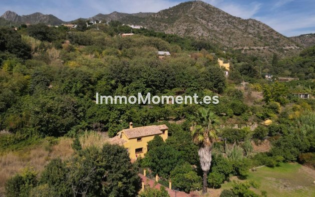 Revente - Maison de campagne - Intérieur                       - Ojén