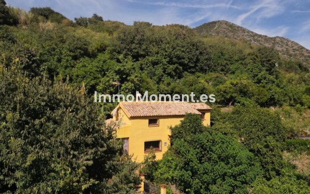 Revente - Maison de campagne - Intérieur                       - Ojén