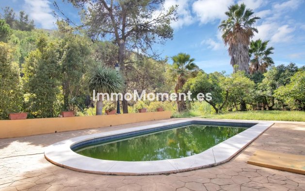 Revente - Maison de campagne - Intérieur                       - Ojén