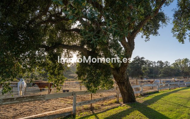 Wiederverkauf - Land - Sotogrande - San Roque Club