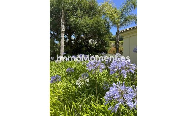 Wiederverkauf - Wohnung - Casares - Casares Centro