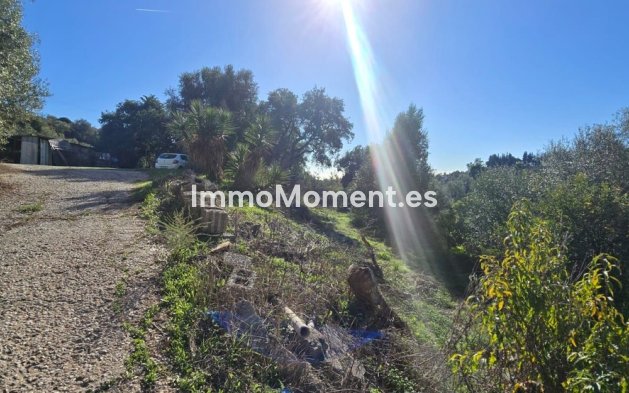 Wiederverkauf - Landhaus - Estepona  - Estepona Centro