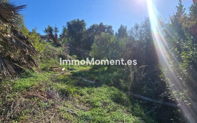 Wiederverkauf - Landhaus - Estepona  - Estepona Centro