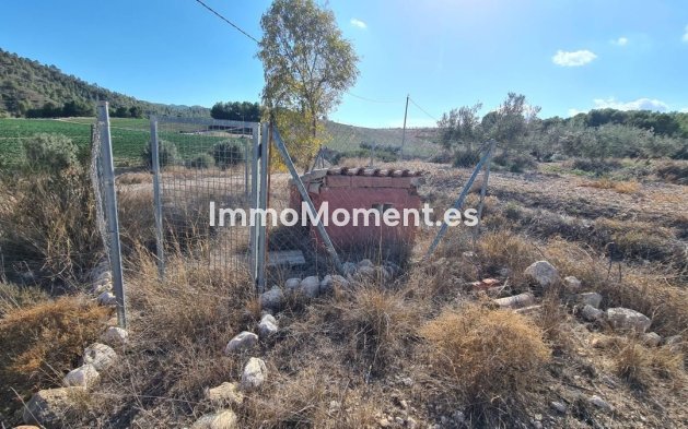 Resale - Villa - Lorca - Lorca Centro