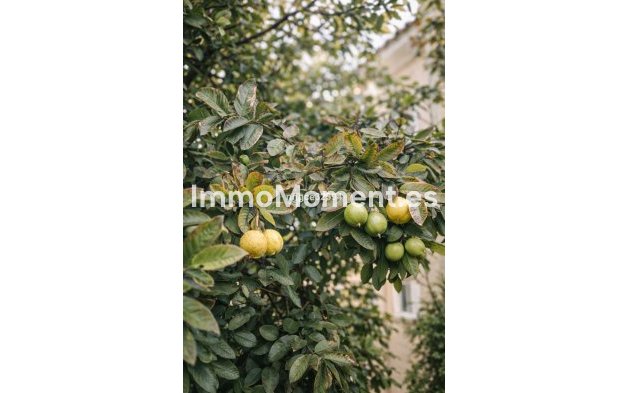 Wiederverkauf - Wohnung - Marbella - Puerto Banús