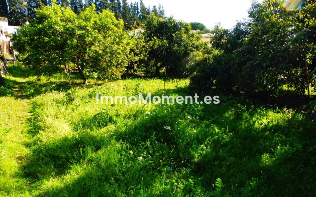 Revente - Maison de campagne - Marbella - Marbella Centro