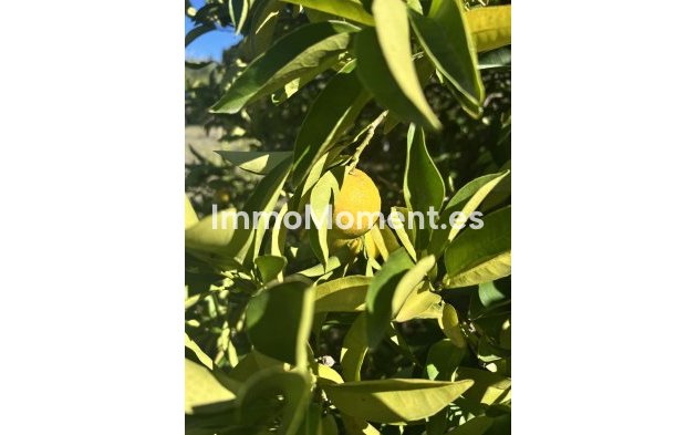 Resale - Country house - Estepona - New Golden Mile