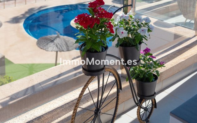 Wiederverkauf - Wohnung - Orihuela - Mil Palmeras