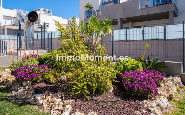 Reventa - Apartamento - Torrevieja - Aguas Nuevas