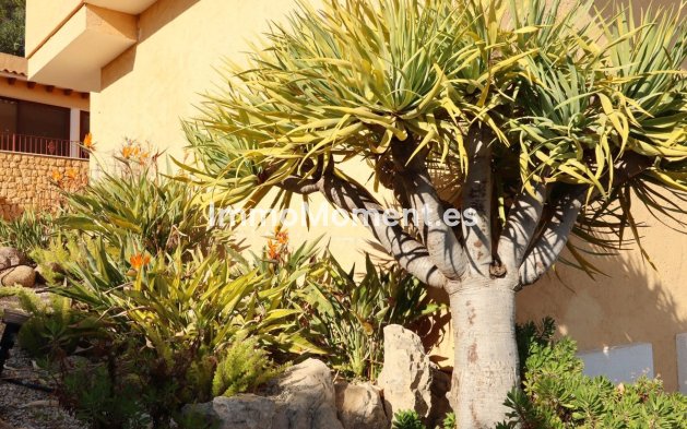 Wiederverkauf - Villa - Altea - Altea Centro