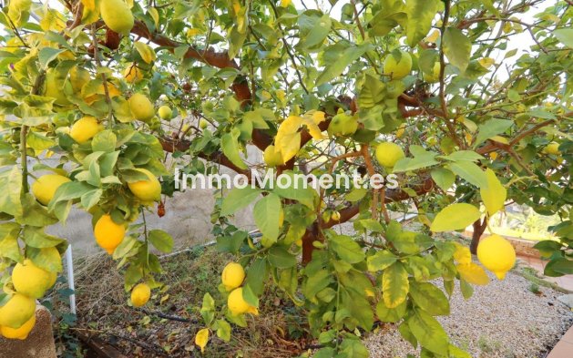 Wiederverkauf - Villa - Altea - Altea Centro