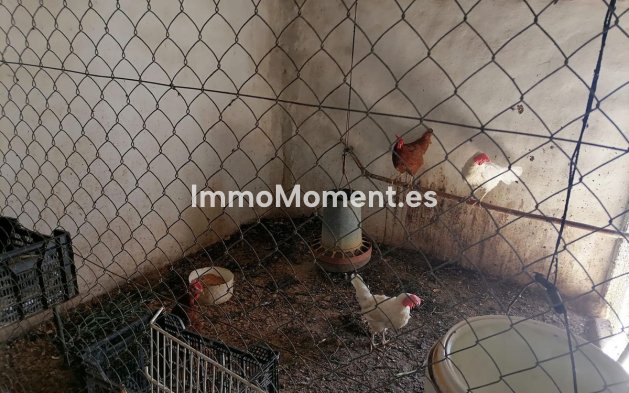 Revente - Maison de campagne - Intérieur                       - Coín