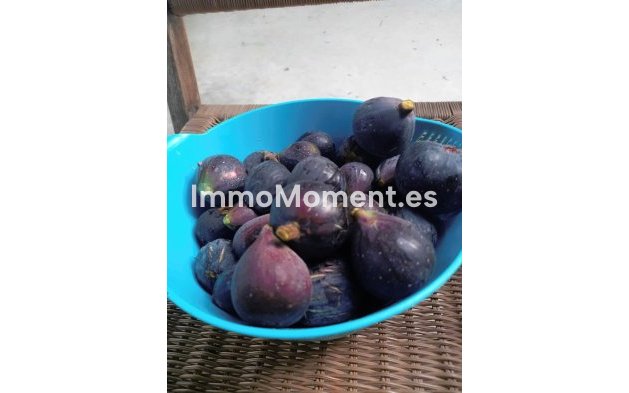 Wiederverkauf - Landhaus - Dolores - Dolores Centro