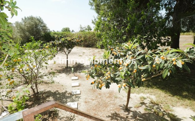 Wiederverkauf - Landhaus - Dolores - Dolores Centro