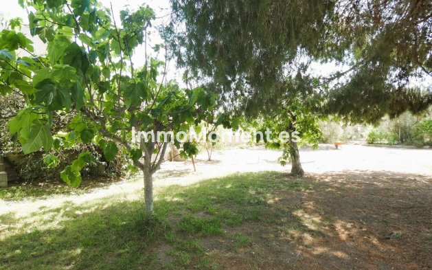 Wiederverkauf - Landhaus - Dolores - Dolores Centro