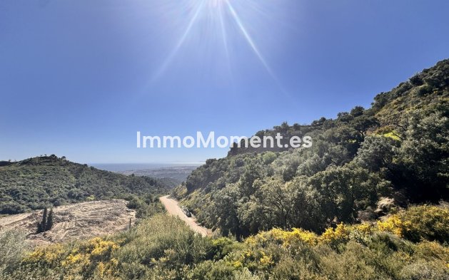 Reventa - Parcela - Interior  - Istán
