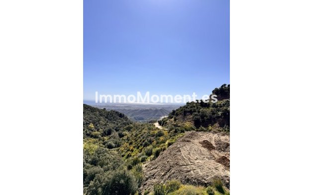 Reventa - Parcela - Interior  - Istán