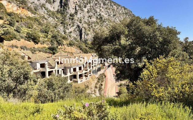 Reventa - Parcela - Interior  - Istán