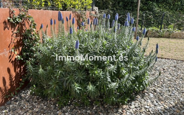 Resale - Villa - Fuengirola - Fuengirola Centro