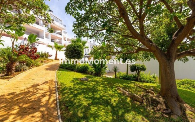 Revente - Appartement - Benalmadena - Torrequebrada