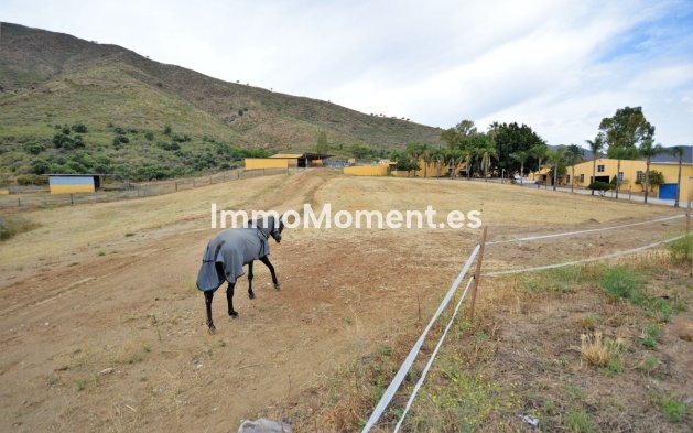 Revente - Maison de campagne - Mijas - Mijas Centro