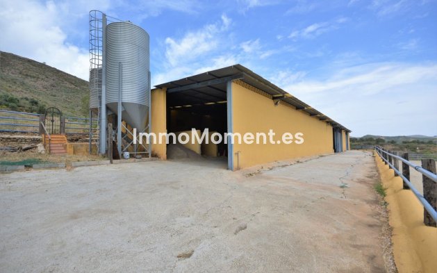 Revente - Maison de campagne - Mijas - Mijas Centro