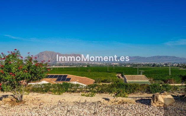 Bestaande woning - Villa - Benejúzar - Benejuzar Centro