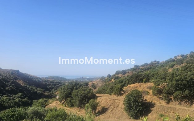 Wiederverkauf - Landhaus - Estepona  - Estepona Centro