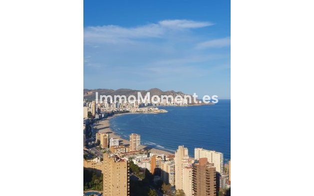 Wiederverkauf - Wohnung - Benidorm - Benidorm Centro