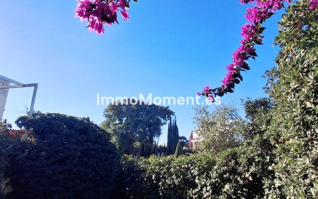 Wiederverkauf - Wohnung - Casares - Casares Centro