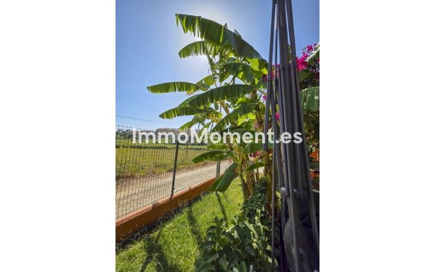 Wiederverkauf - Wohnung - Manilva - La Duquesa