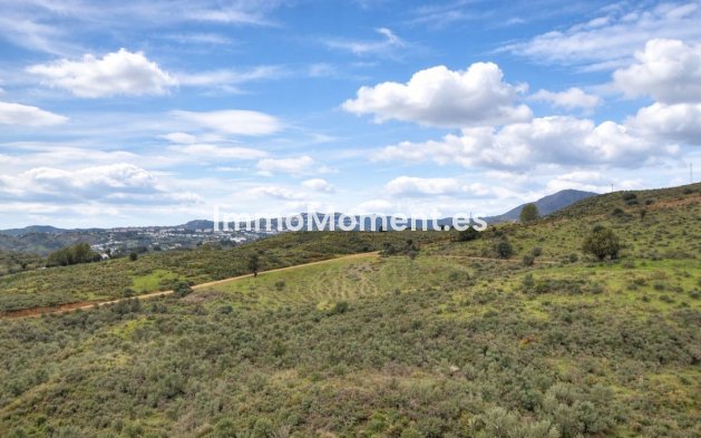 Revente - Maison mitoyenne - Mijas - Mijas Golf