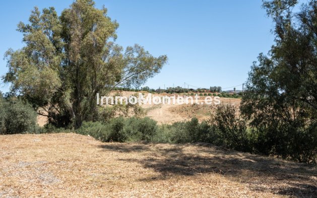 Revente - Maison de campagne - Intérieur                       - Cártama Centro