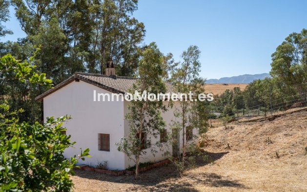 Revente - Maison de campagne - Intérieur                       - Cártama Centro