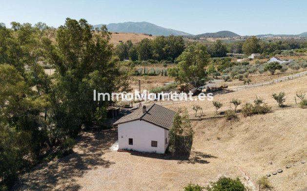 Revente - Maison de campagne - Intérieur                       - Cártama Centro