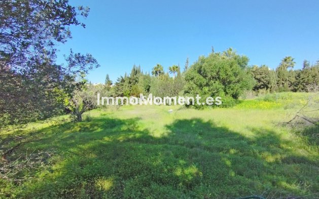 Reventa - Terreno - Estepona  - Bel Air