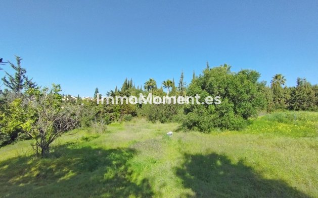 Reventa - Terreno - Estepona  - Bel Air